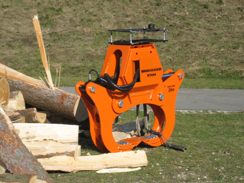 Bilder vom Goldberger Forsttag 2007