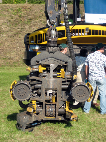 Bilder vom Goldberger Forsttag 2007